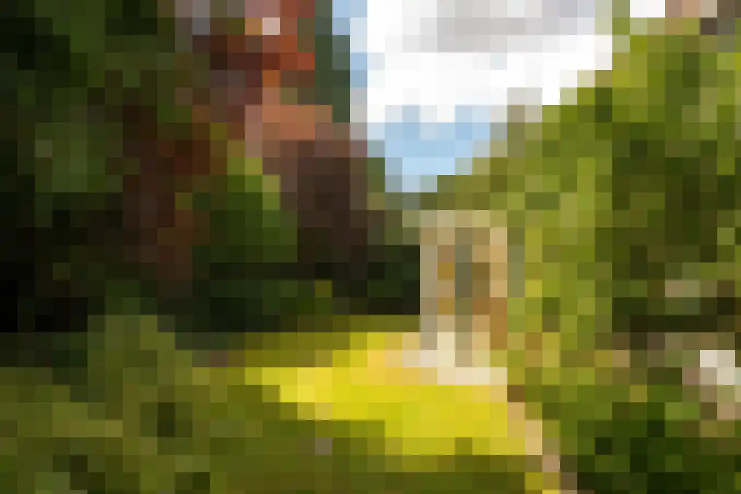 Atelierweg 3 Blaricum thumbnail 69