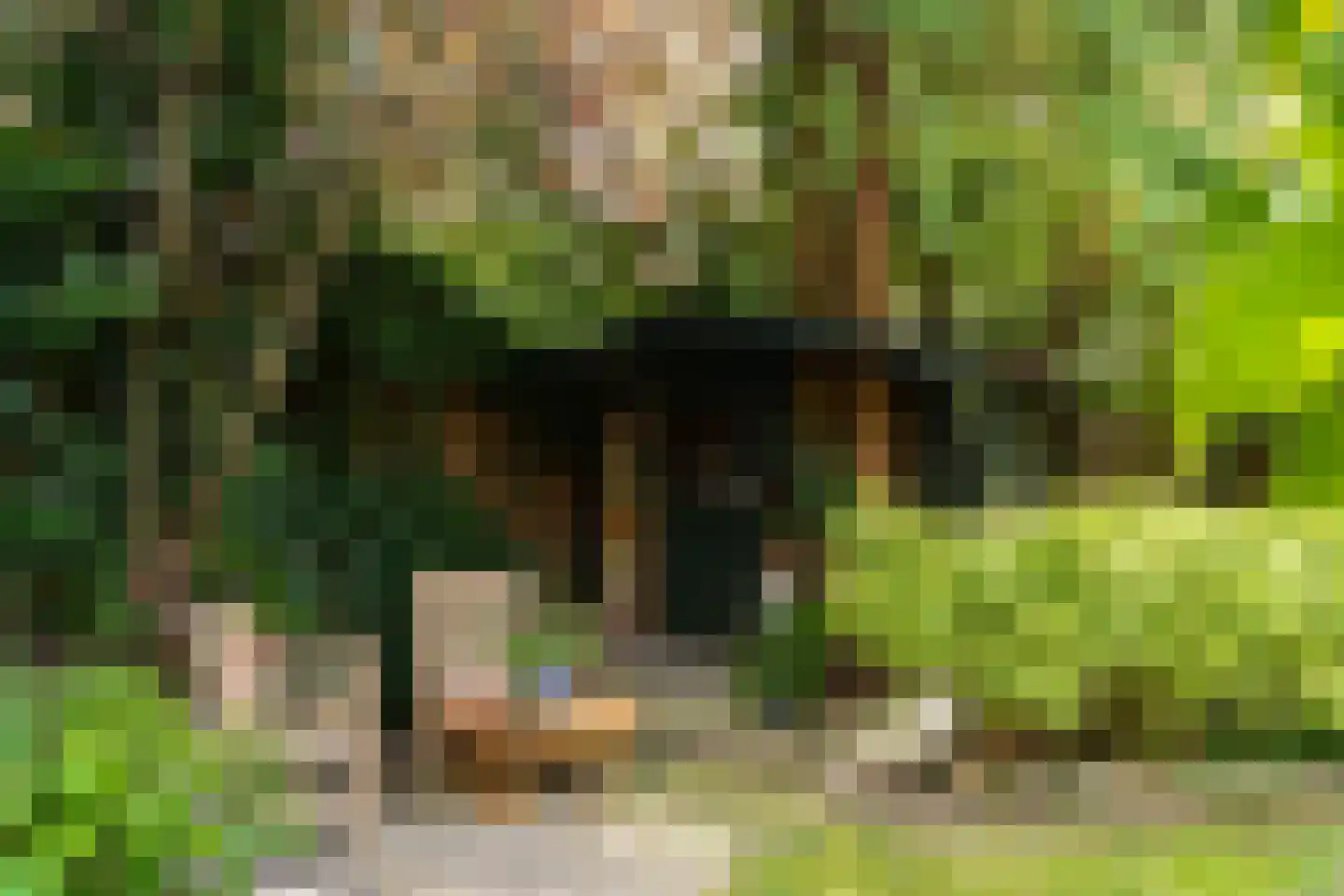 Atelierweg 3 Blaricum thumbnail 70