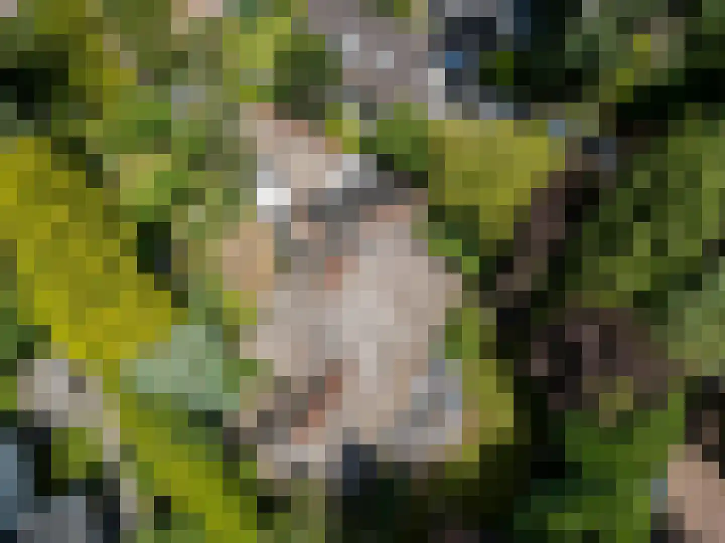 Atelierweg 3 Blaricum thumbnail 71
