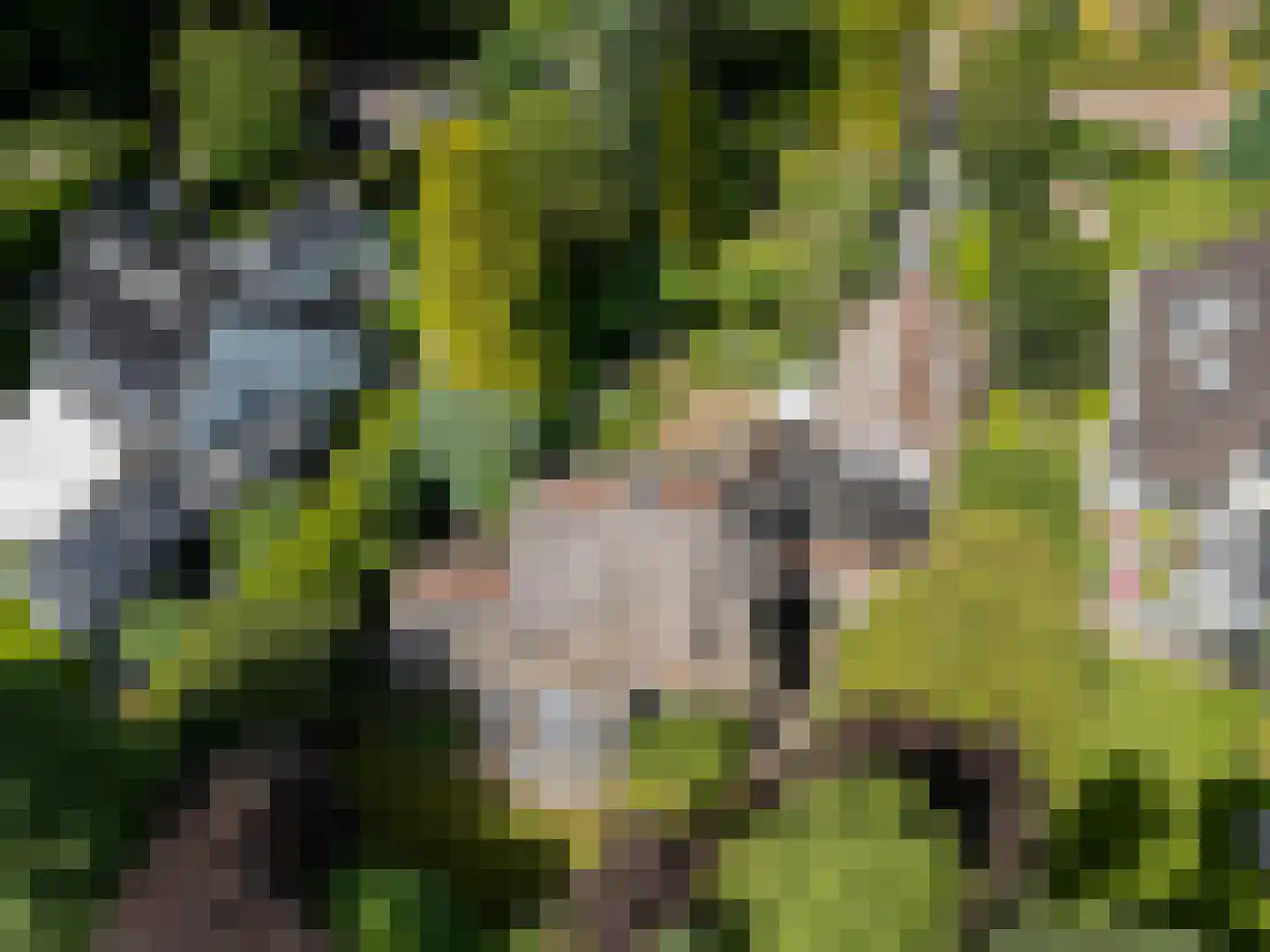 Atelierweg 3 Blaricum thumbnail 72