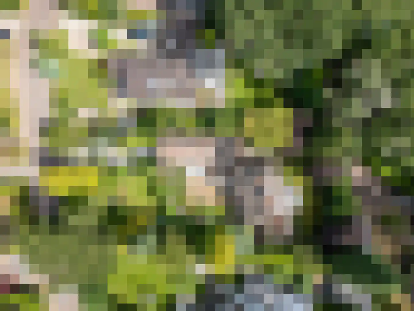 Atelierweg 3 Blaricum thumbnail 73