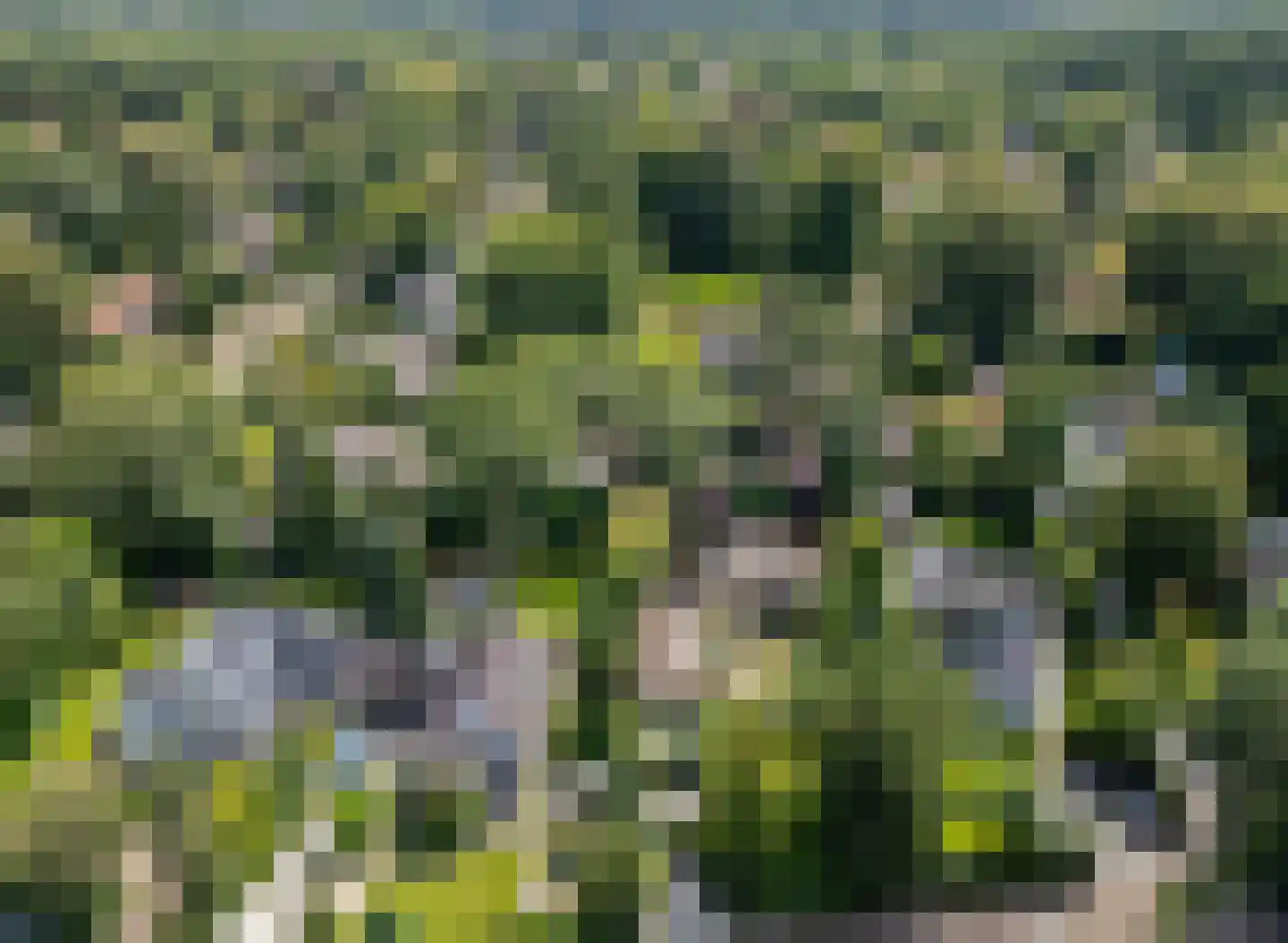 Atelierweg 3 Blaricum thumbnail 74