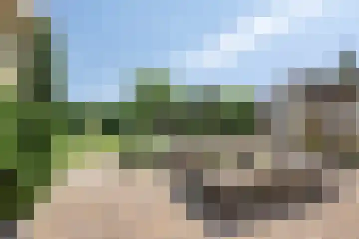 Ath Bonninghaleane 12 Sneek thumbnail 20