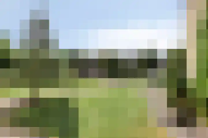 Ath Bonninghaleane 12 Sneek thumbnail 21