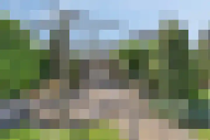 Ath Bonninghaleane 12 Sneek thumbnail 22