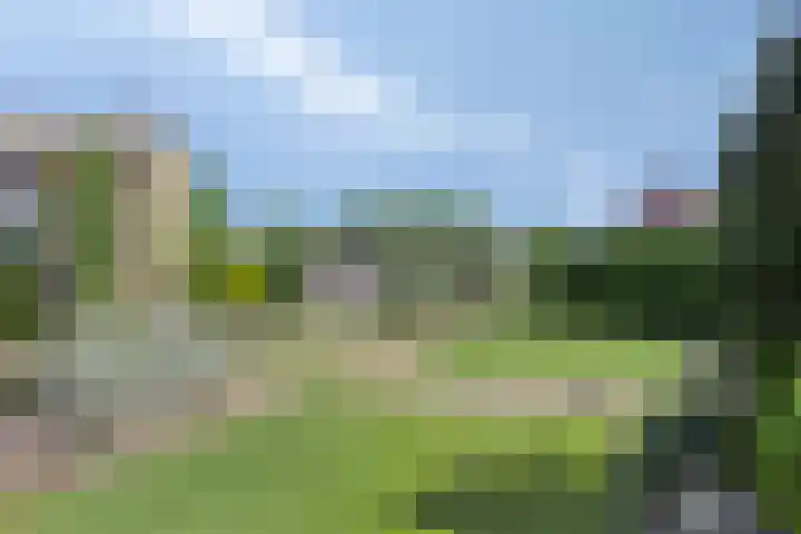 Ath Bonninghaleane 12 Sneek thumbnail 23