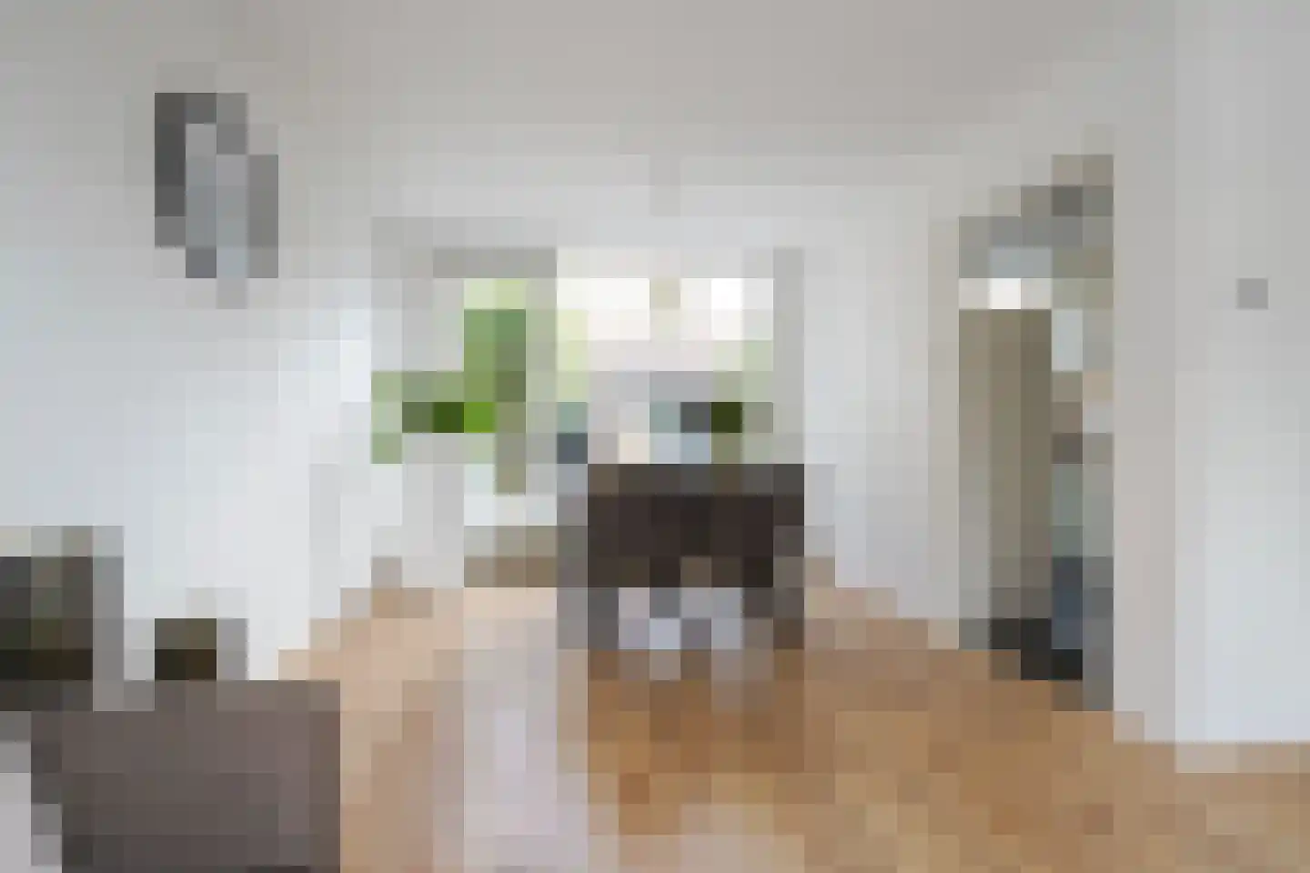 Athanasiusstraat 2 Tilburg thumbnail 17