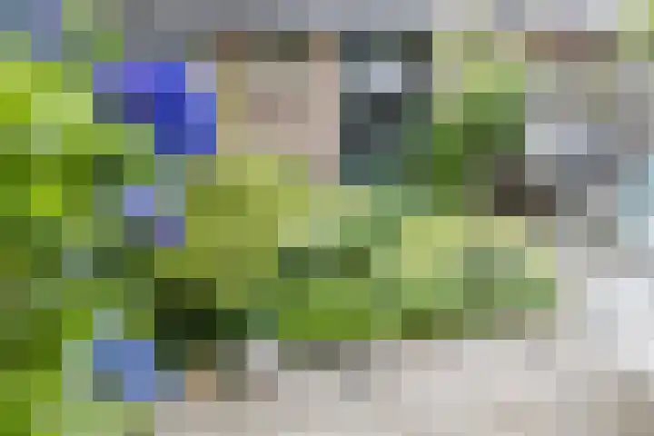 Athanasiusstraat 4 Tilburg thumbnail 21