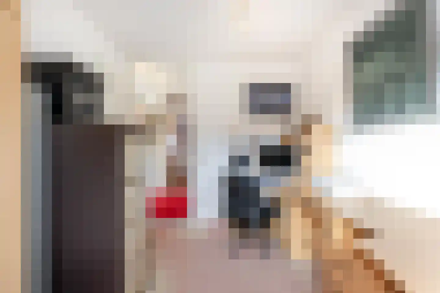 Athenastraat 13 Rotterdam thumbnail 30