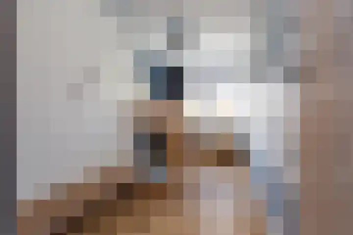 Athenastraat 5 Rotterdam thumbnail 22