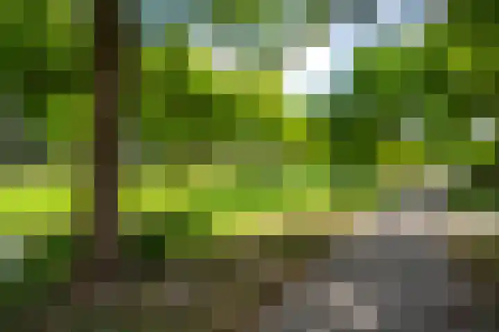 Athenastraat 5 Rotterdam thumbnail 34