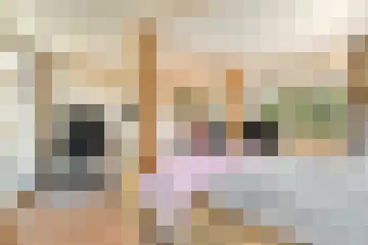 Athenastraat 9 Rotterdam thumbnail 25
