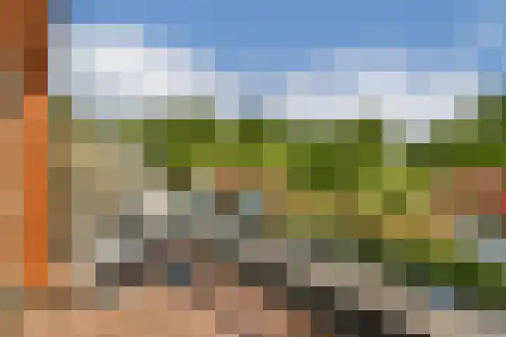 Athenastraat 9 Rotterdam thumbnail 29