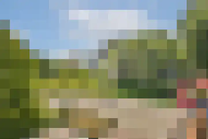 Athenastraat 9 Rotterdam thumbnail 30