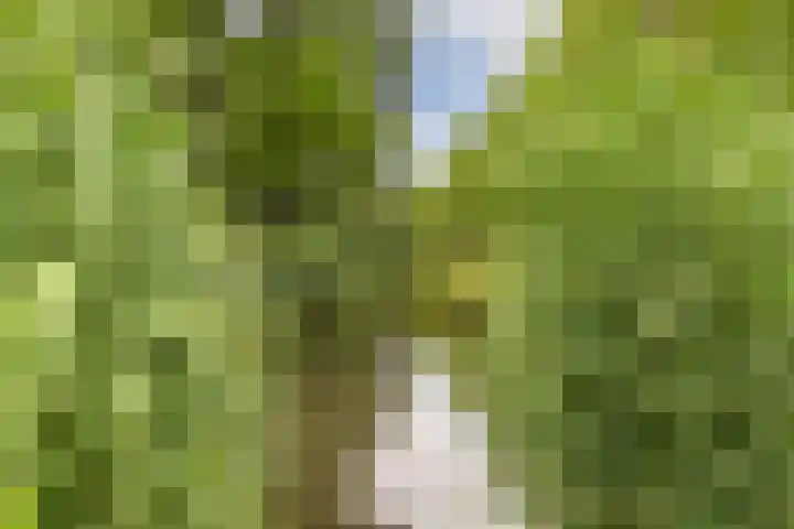 Athenastraat 9 Rotterdam thumbnail 33