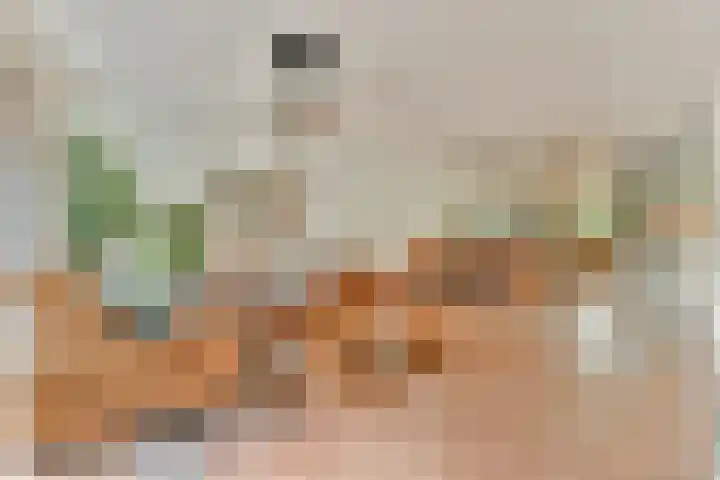 Athenastraat 9 Rotterdam thumbnail 5