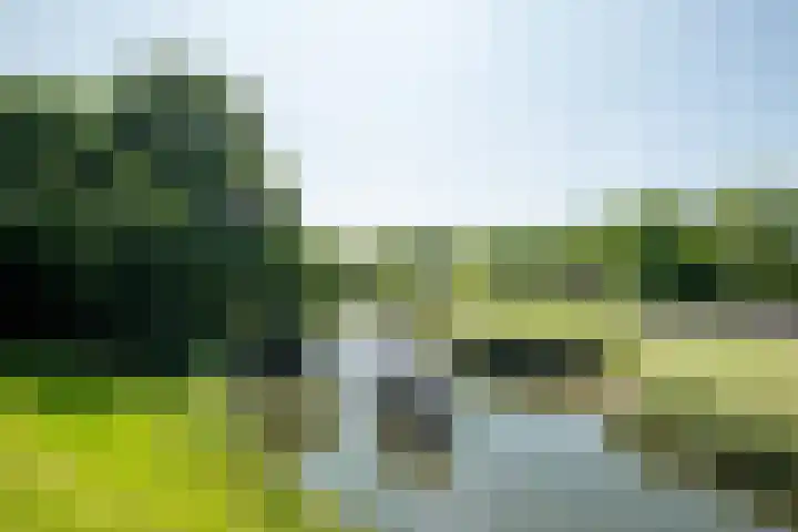 Athene 109 Gorinchem thumbnail 11