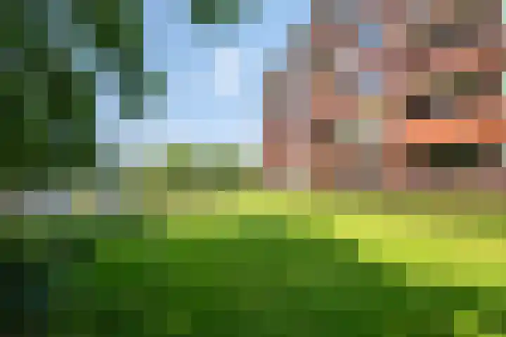 Athene 109 Gorinchem thumbnail 13