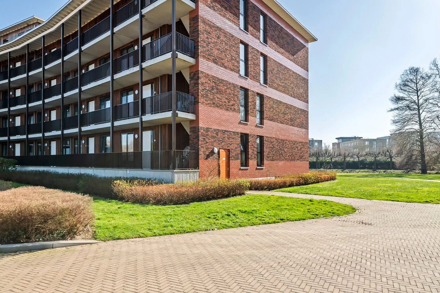 Athene 57 Gorinchem thumbnail 6