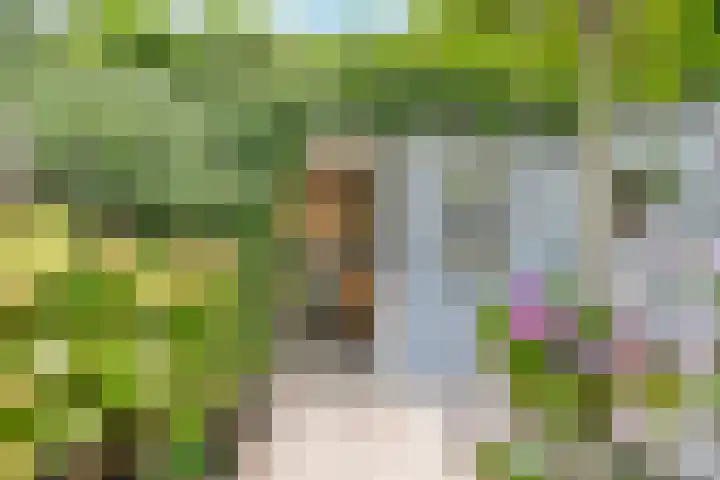 Athenelaan 145 Nieuw-Vennep thumbnail 22