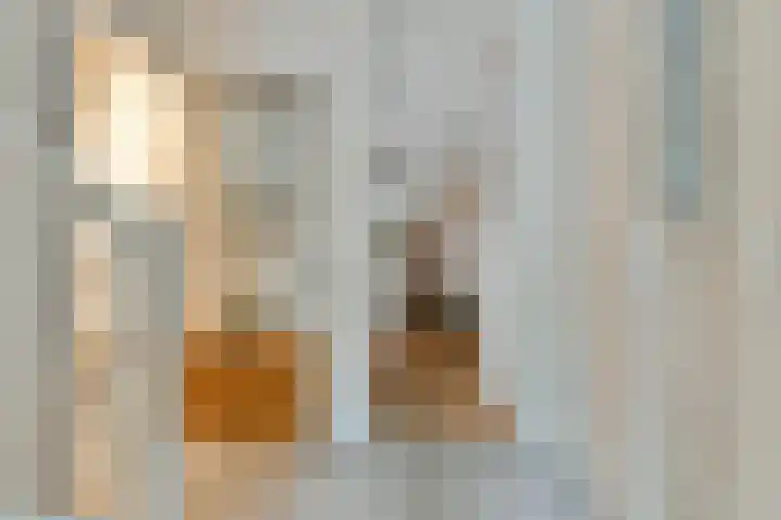 Athenelaan 145 Nieuw-Vennep thumbnail 5