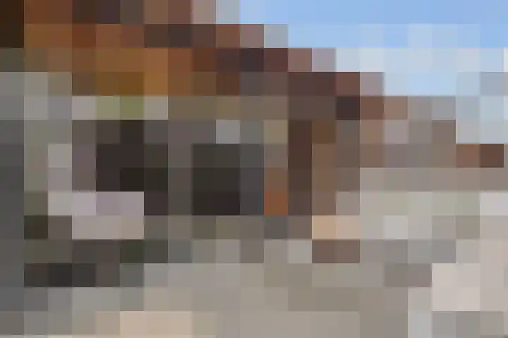 Athenelaan 189 Nieuw-Vennep thumbnail 23
