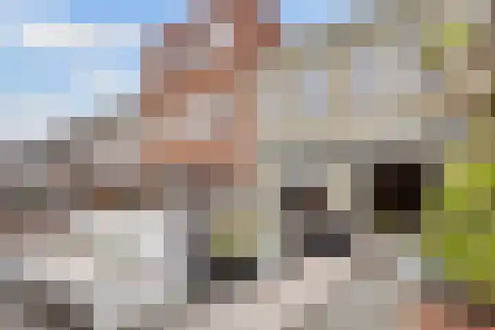 Athenelaan 189 Nieuw-Vennep thumbnail 24