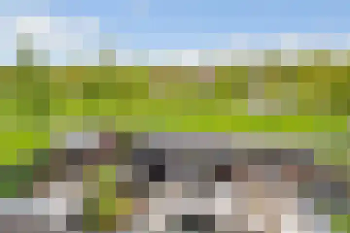 Athenelaan 189 Nieuw-Vennep thumbnail 44