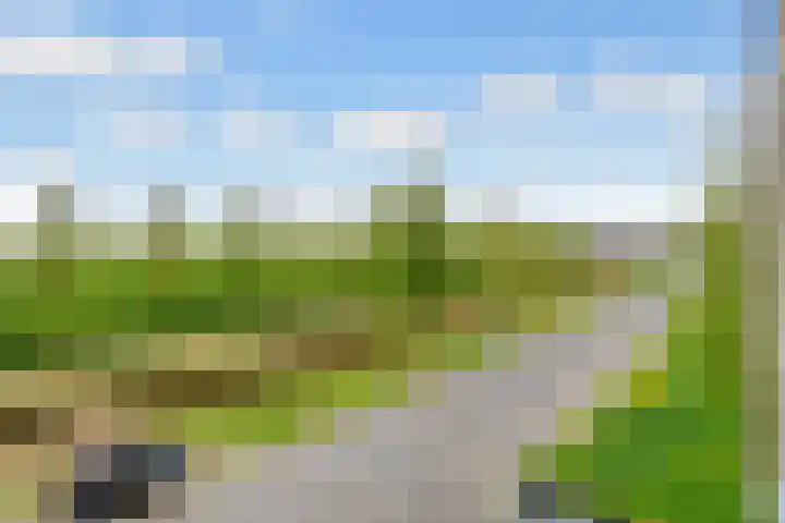 Athenelaan 189 Nieuw-Vennep thumbnail 47