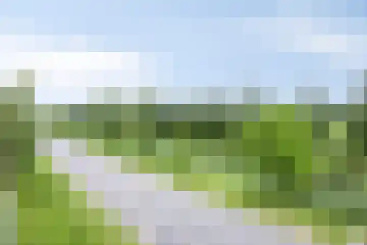 Athenelaan 193 Nieuw-Vennep thumbnail 33