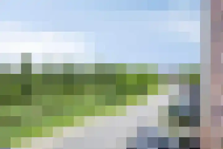 Athenelaan 193 Nieuw-Vennep thumbnail 34