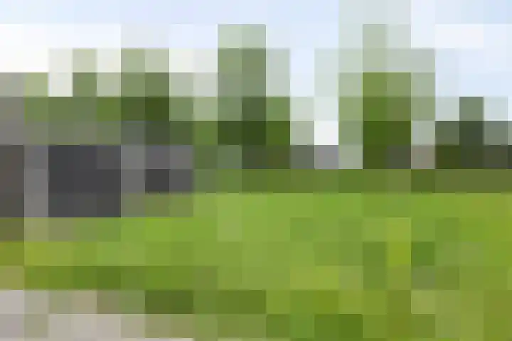 Athenelaan 193 Nieuw-Vennep thumbnail 37