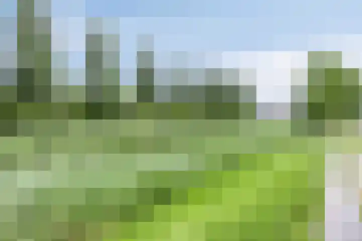 Athenelaan 193 Nieuw-Vennep thumbnail 39