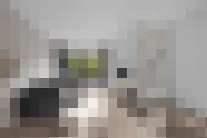 Athenelaan 64 Woerden thumbnail 10