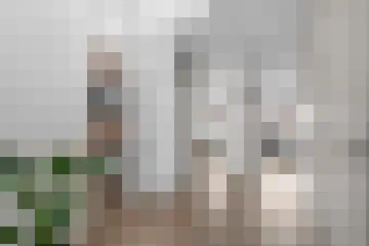 Athenelaan 64 Woerden thumbnail 19