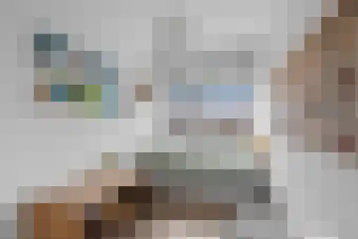 Athenelaan 64 Woerden thumbnail 22