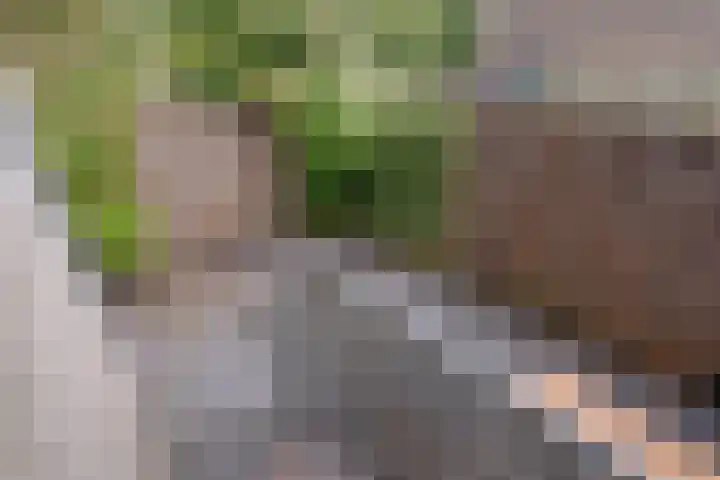Athenelaan 64 Woerden thumbnail 32