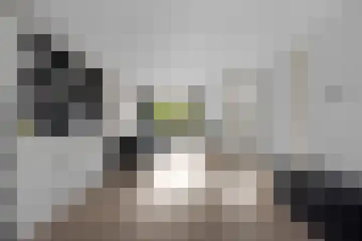 Athenelaan 64 Woerden thumbnail 9