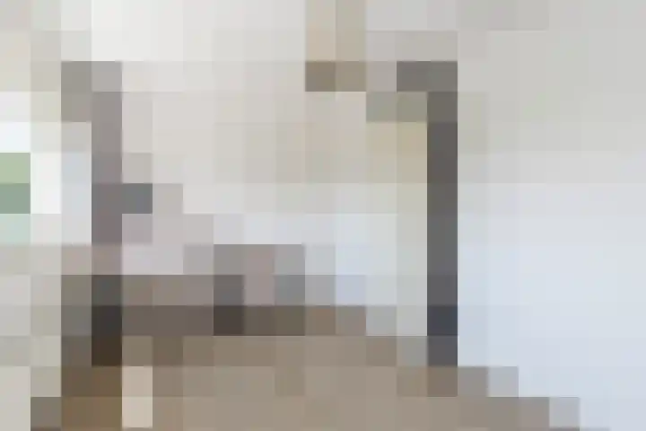 Athenesingel 242 Den Haag thumbnail 19