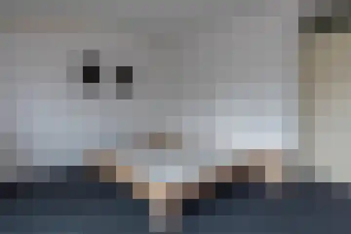 Athenesingel 242 Den Haag thumbnail 22