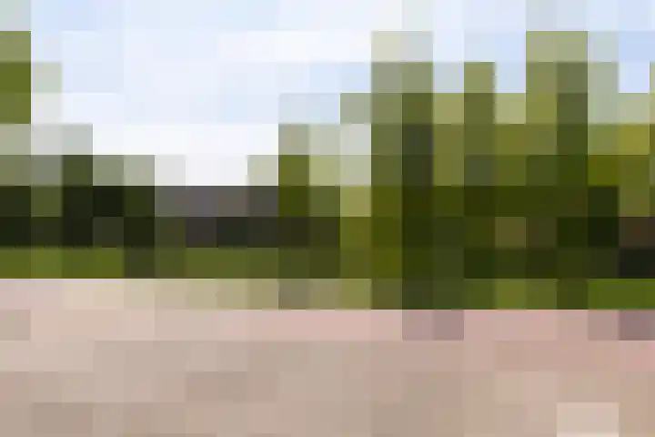 Athenesingel 242 Den Haag thumbnail 29