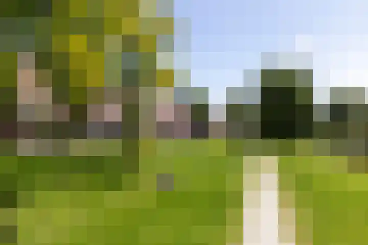 Athenesingel 242 Den Haag thumbnail 30