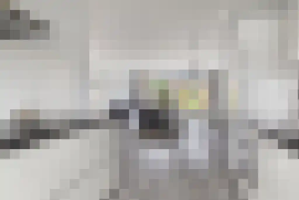 Athenesingel 30 Den Haag thumbnail 5