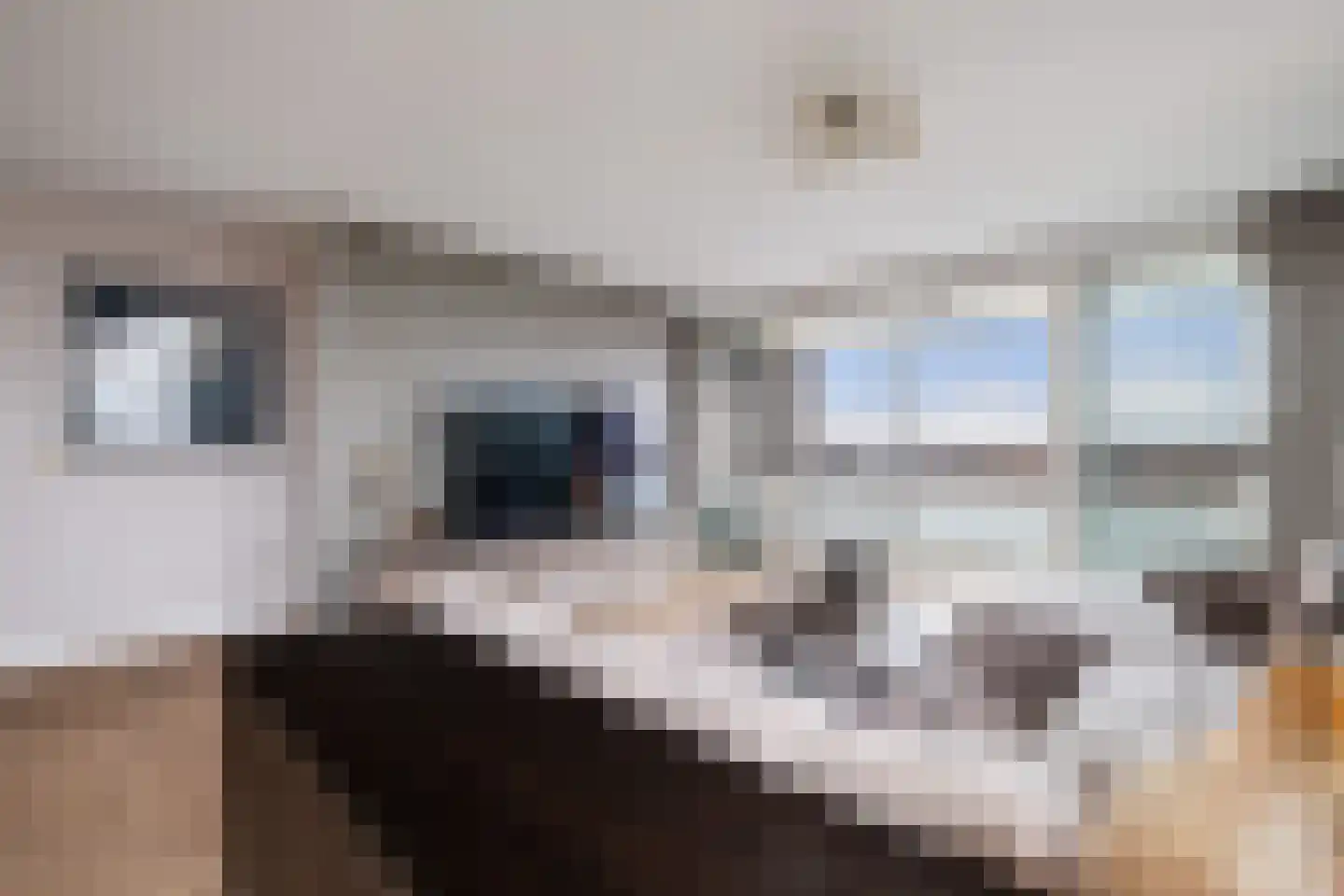 Athenesingel 55 Den Haag thumbnail 16