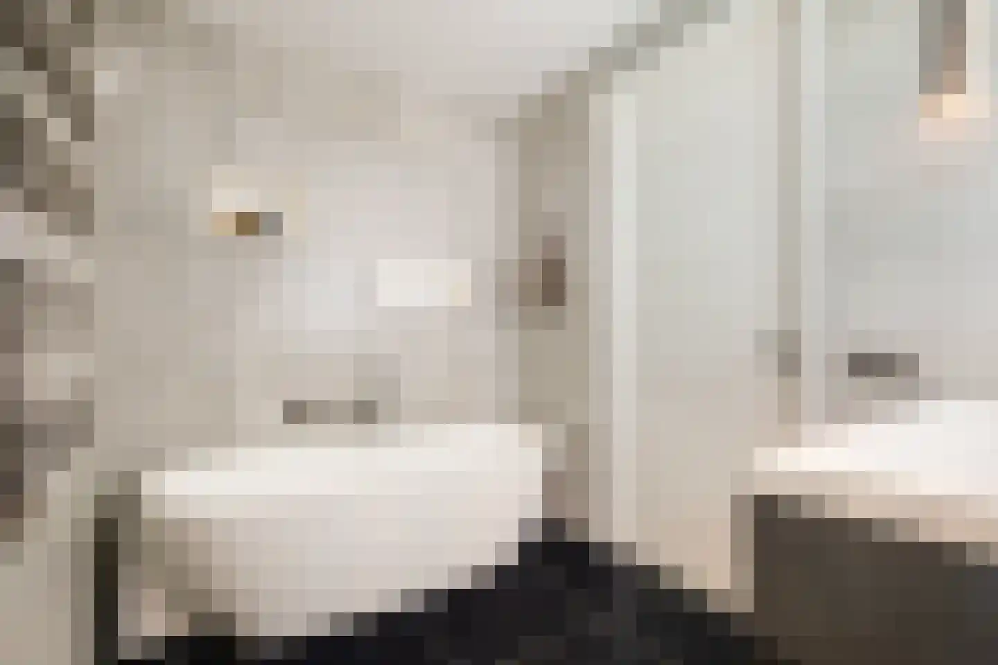 Athenesingel 55 Den Haag thumbnail 36