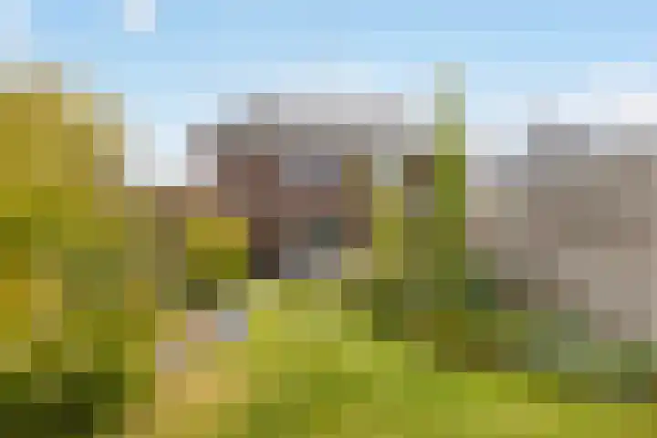 Athenestraat 10 Hengelo thumbnail 21