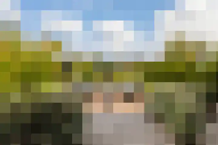 Athenestraat 10 Hengelo thumbnail 24