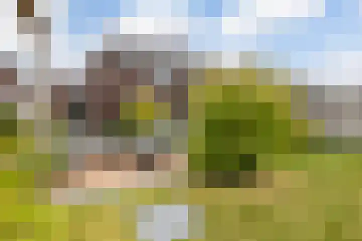 Athenestraat 10 Hengelo thumbnail 4