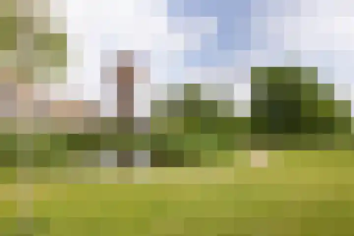 Athenestraat 11 Hengelo thumbnail 33