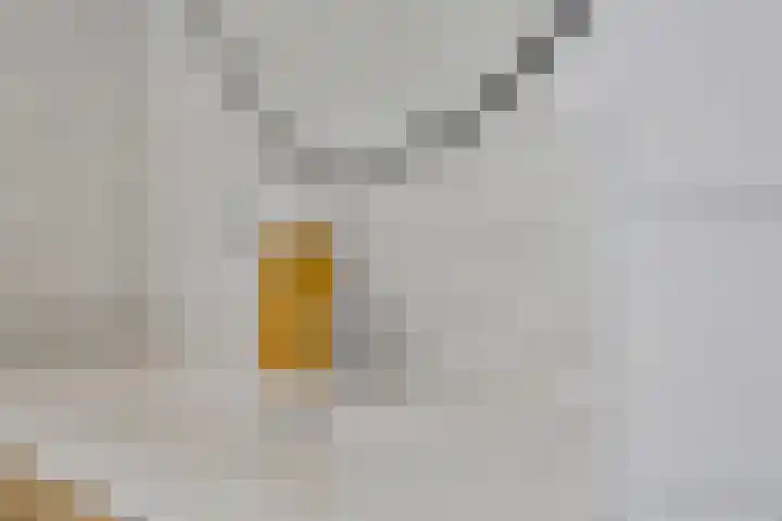 Athenestraat 27 Hengelo thumbnail 24